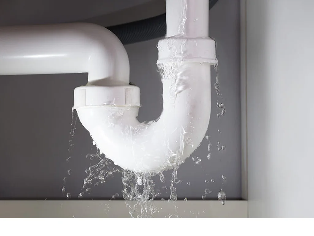 Emergency Plumbing Services in Florida