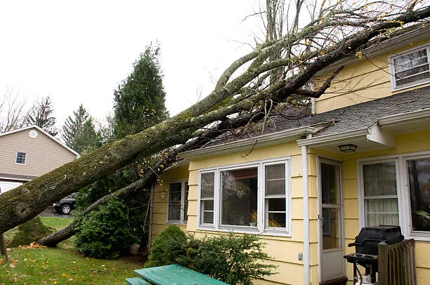 How Storm Restoration Services Help Your Central Florida Home