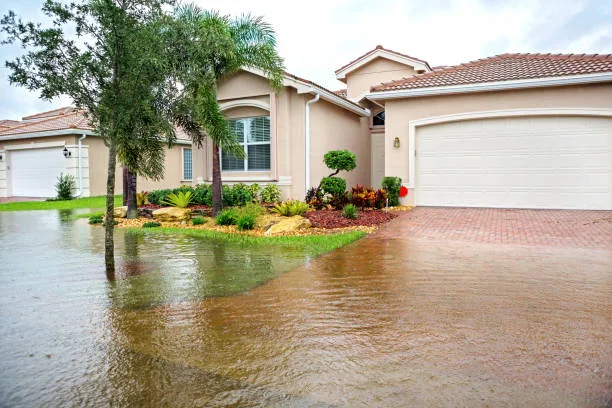 You'll Need More Than an Umbrella to Keep Dry in Florida's Rainy Season